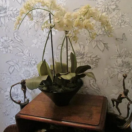 No 3 Bed & Breakfast 4*